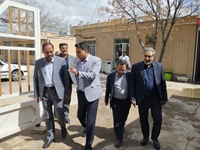 بازدیدنوروزی
